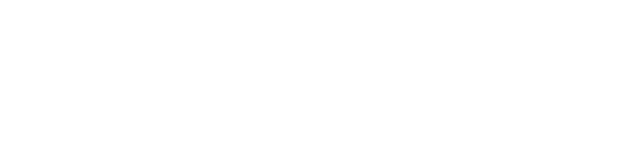 Asset
